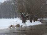 Nieuwe Graven